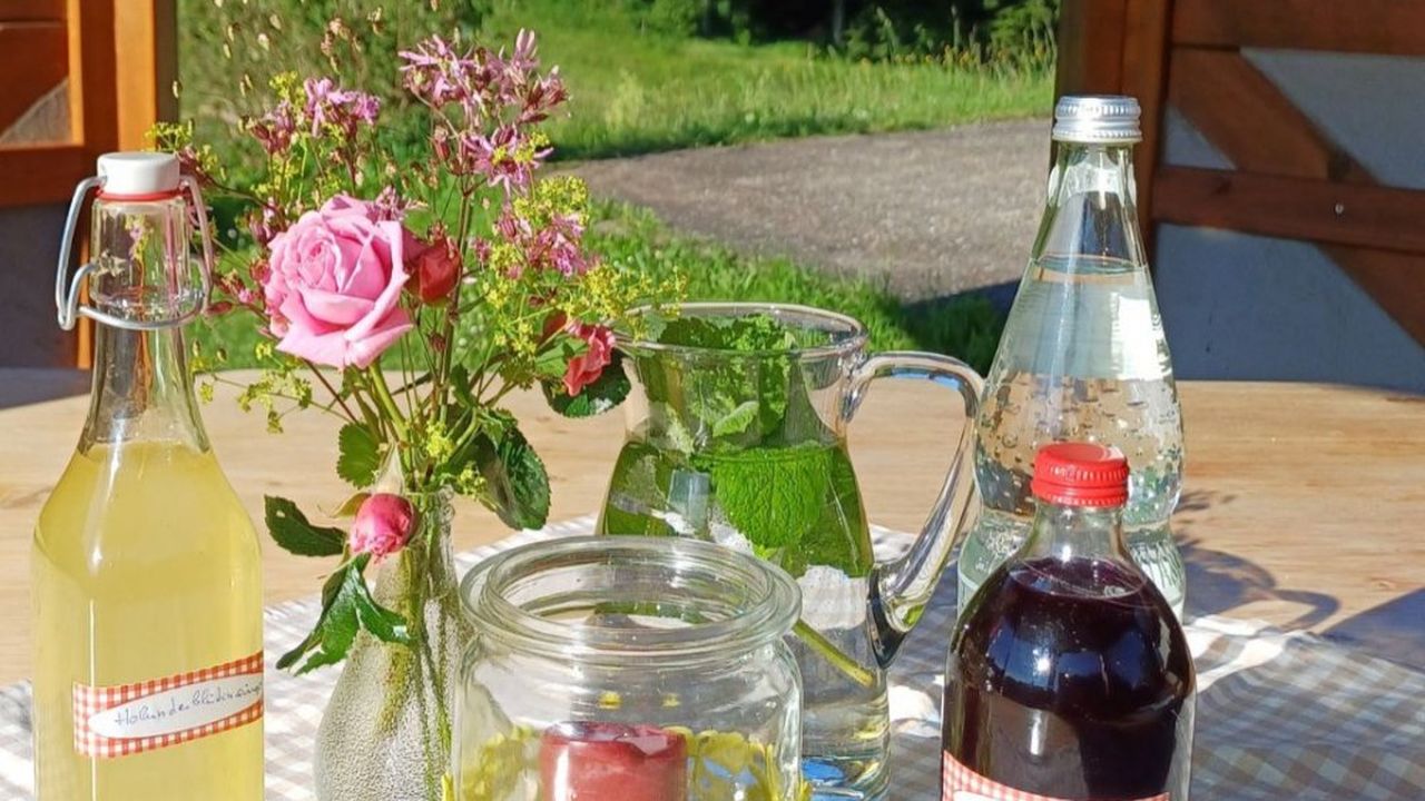 Überdachte Sitzecke für gemütliche Stunden Überdachte Sitzecke für gemütliche Stunden